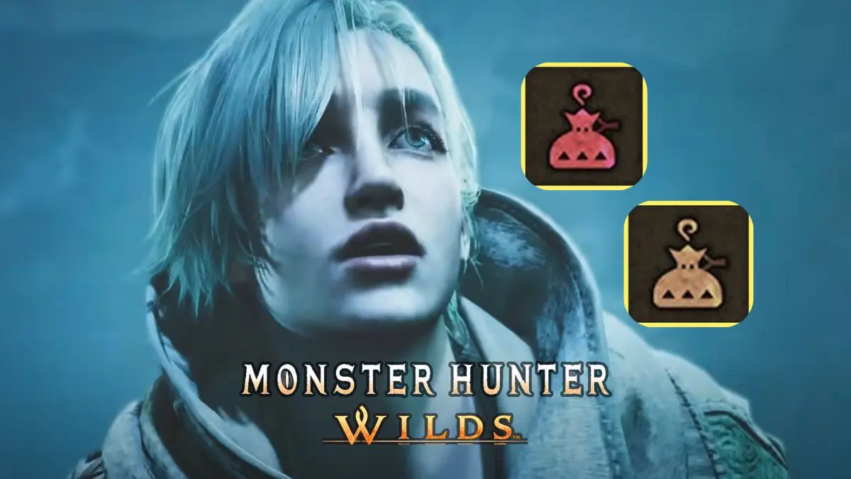 Cómo obtener ArmorCharm y PowerCharm en Monster Hunter Wilds
