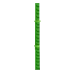 Planta de bambú GaG