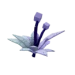 Cultivo de loto Cultivar un jardín
