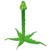 Cultivar espárragos altos en un jardín