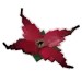 flor monstruo
