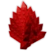 Cultivar una espina carmesí de jardín