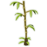 árbol de bambú