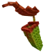 Planta de jarra GaG