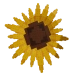 Girasol cultiva un jardín