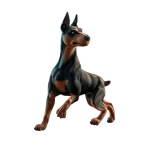 Compañeros de Fortnite