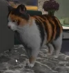 Mascotas GTA Online