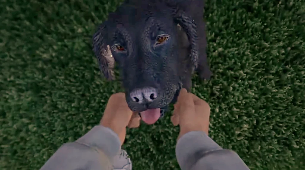 Mascotas GTA Online