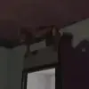 Más duende