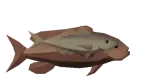 Pescado del abismo de bacalao