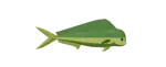 mahi mahi