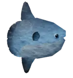 pez luna