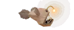 rape