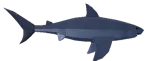 Tiburón
