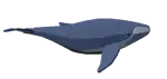 Ballena