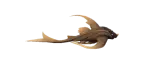 Tiburón antiguo