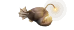 Rape rey