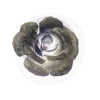 Flor Sagrada