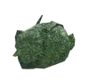 Musgo