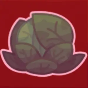 planta de repollo