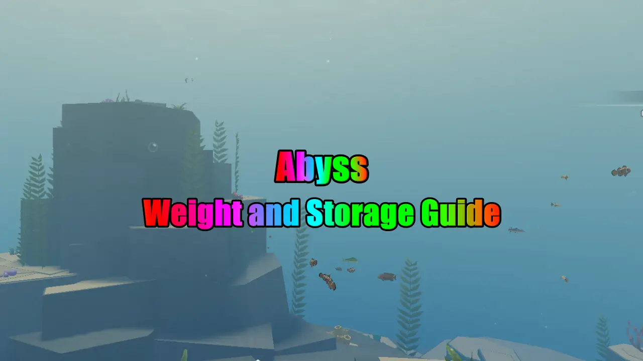 Guía de peso y almacenamiento de Abyss