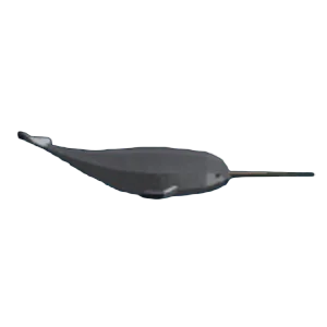 Narval