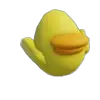 Pato